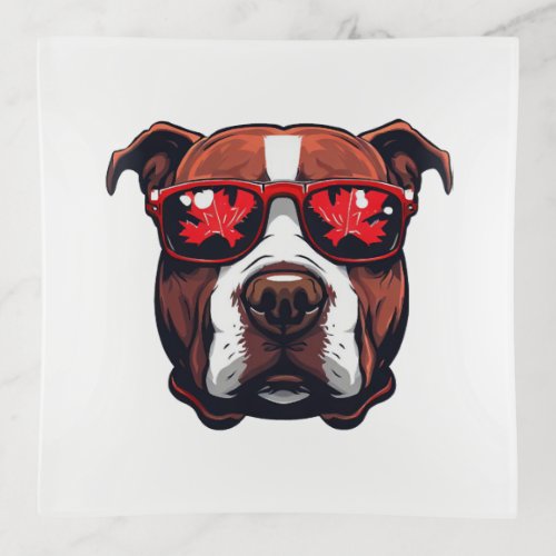 Pitbull Wearing Sunglasses in Canada colors Trinket Tray