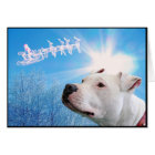 Pitbull White Dog Christmas Wish