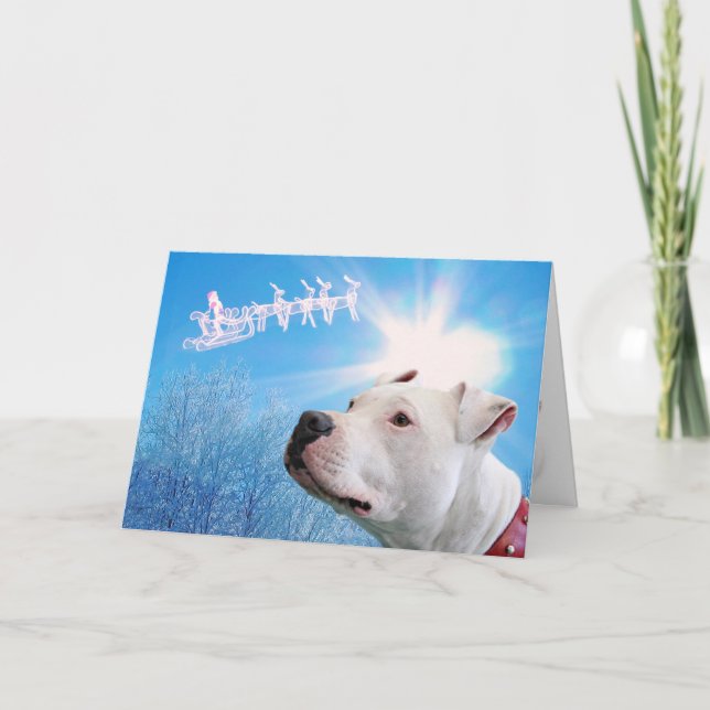 Pitbull White Dog Christmas Wish Holiday Card (Front)