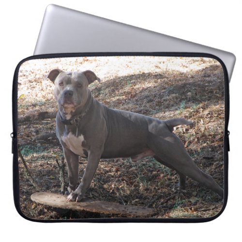 Pitbull with Skateboard Laptop Sleeve