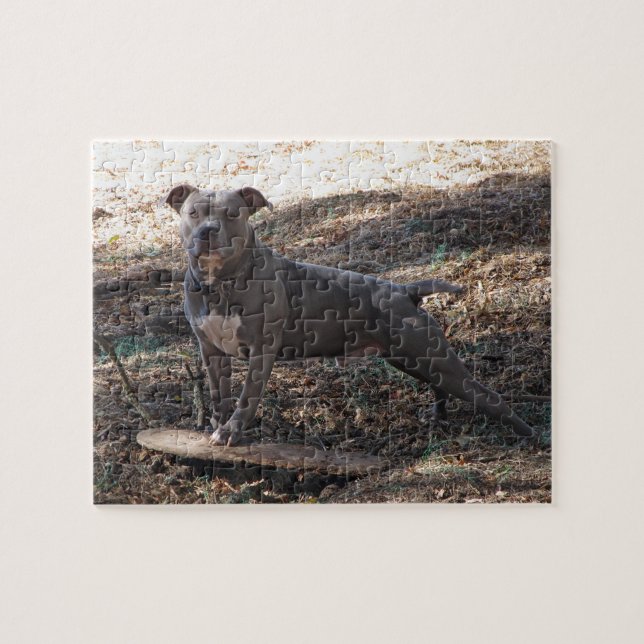 Pitbull with Skateboard Puzzle (Horizontal)