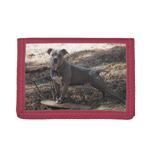 Pitbull with Skateboard TriFold Nylon Wallet