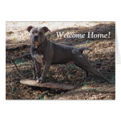 Pitbull with Skateboard Welcome Home Card (Front Horizontal)