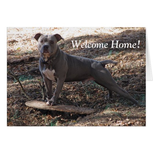 Pitbull with Skateboard Welcome Home Card (Front Horizontal)