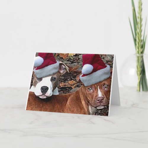 Pitbulls Christmas Look on Greeting Cards