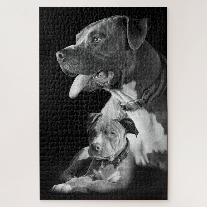 puzzle toys for pit bulls