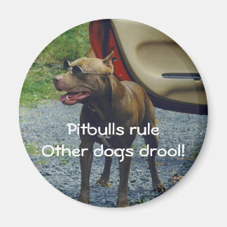 Pitbulls Rule Magnet