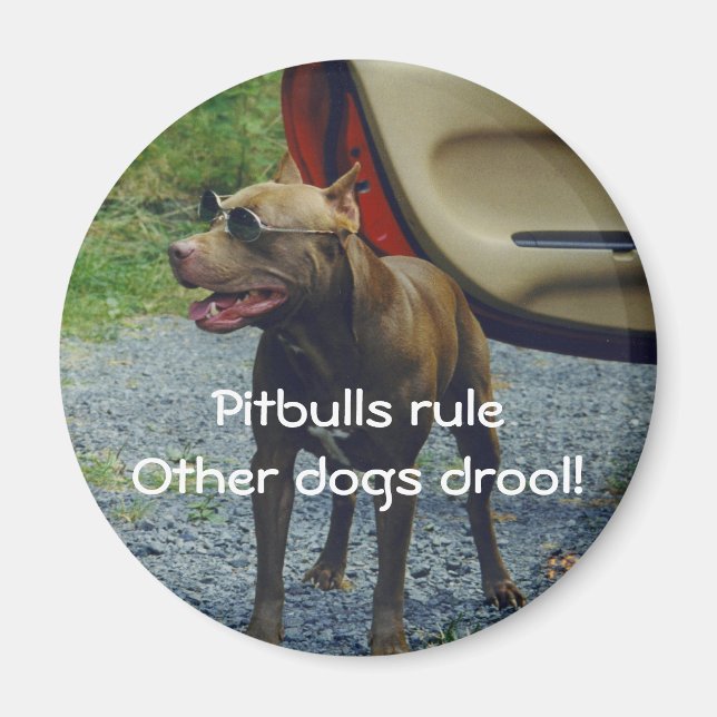 Pitbulls Rule Magnet (Front)