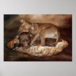 Pitbulls - The Softer Side Art Poster/Print Poster