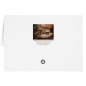 Pitbulls - The Softer Side ArtCard (Back Horizontal)