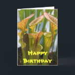 Pitcher Plant Carnivorous Birthday Card<br><div class="desc">Pitcher Plant Carnivorous Birthday Card</div>