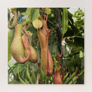 Pitcher Plant, Monkey Pots with Bluebottle Jigsaw Puzzle