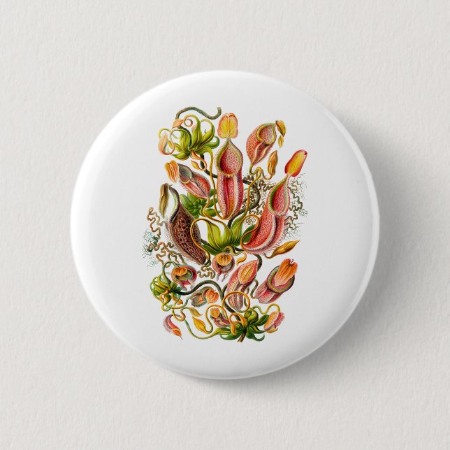 Pitcher Plants Pinback Button (Front)