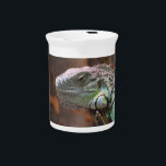 Pitcher with colourful Iguana lizard<br><div class="desc">Awesome Pitcher with beautiful and peaceful Iguana Lizard sitting on a tree.  This product its customizable.</div>