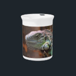 Pitcher with colourful Iguana lizard<br><div class="desc">Awesome Pitcher with beautiful and peaceful Iguana Lizard sitting on a tree.  This product its customizable.</div>