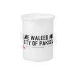 Your Name waleed abdullah Street city of pakistan  Pitchers
