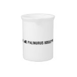 Stanualar and palinurus boulevard no exit   Pitchers