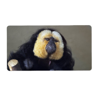 Pithecia pithecia label