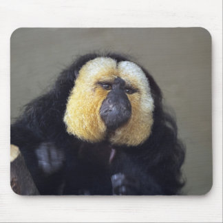 Pithecia pithecia mouse pad