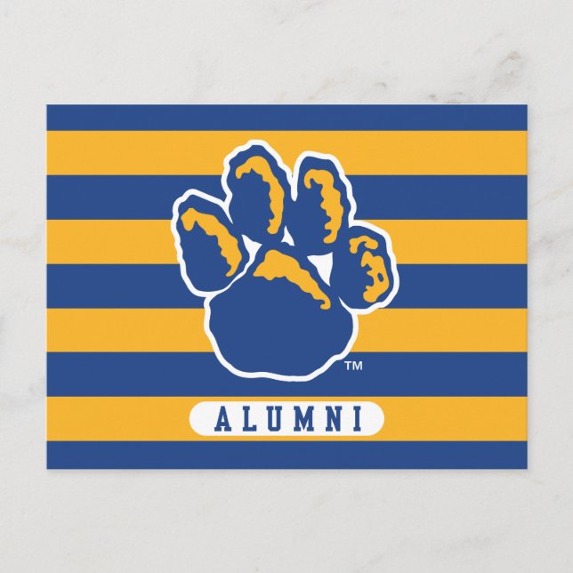Pitt Alumni Stripes Invitation Postcard (Front)
