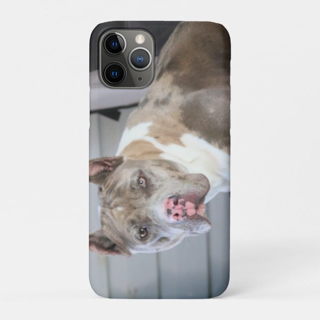 Pitt bull Case-Mate iPhone case (Back)