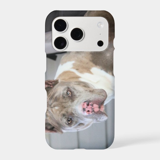 Pitt bull iphone case (Back)