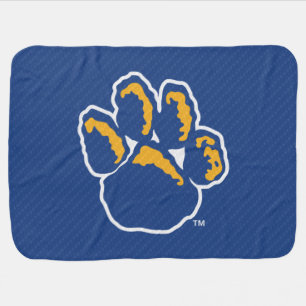 Pitt Carbon Fiber Baby Blanket