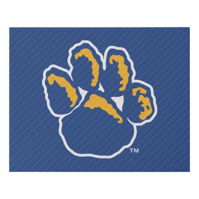 Pitt Carbon Fiber Faux Canvas Print (Front)