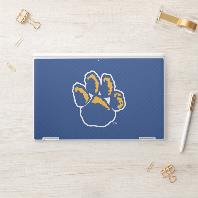 Pitt Carbon Fiber HP Laptop Skin (Desk)