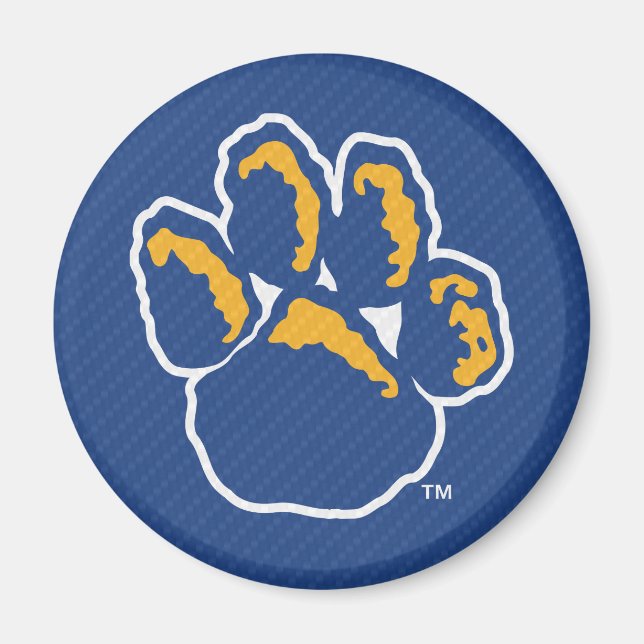 Pitt Carbon Fiber Magnet (Front)