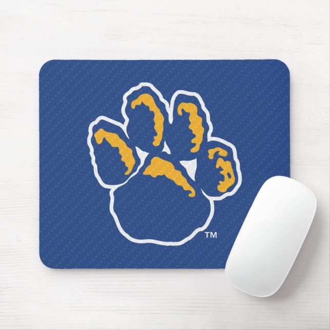 Pitt Carbon Fiber Mouse Pad (With Mouse)