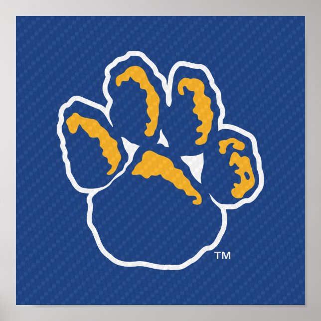 Pitt Carbon Fiber Poster (Front)