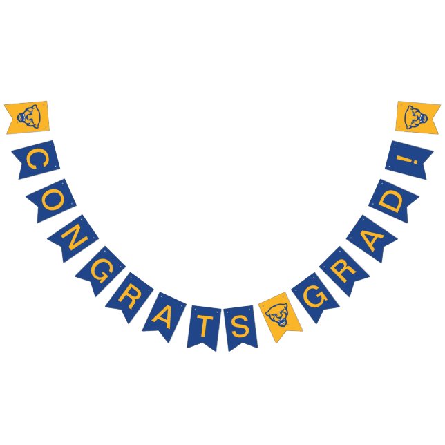 Pitt Graduation Bunting Flags (All)