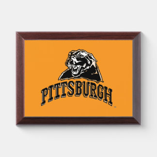 PItt Panters  Award Plaque