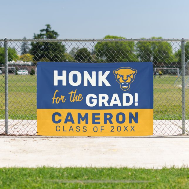 Pitt Panthers Logo Banner (Insitu)