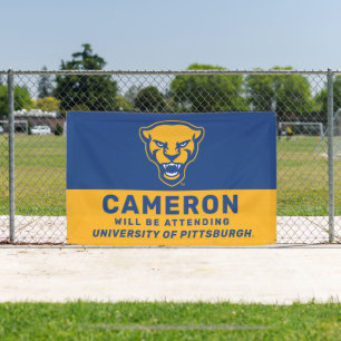 Pitt Panthers Logo Banner