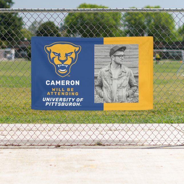 Pitt Panthers Logo Banner (Insitu)
