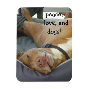 Pittbull Dog - Peace, Love and Dogs Magnet