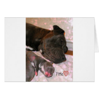 Pittie Love Cards