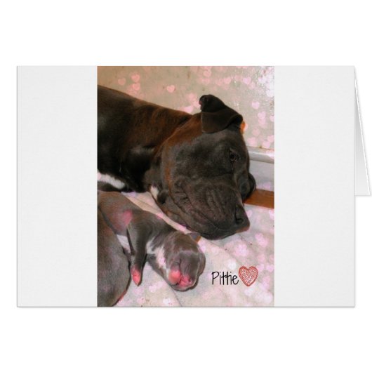 Pittie Love Cards (Front Horizontal)