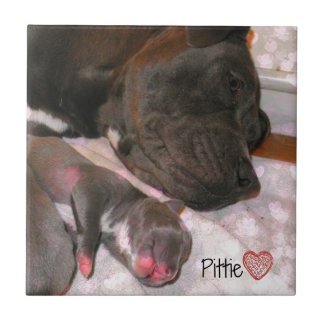 Pittie Love Ceramic Tile