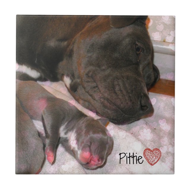 Pittie Love Ceramic Tile (Front)