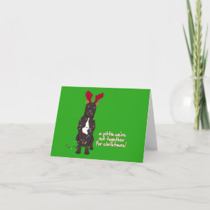 pittiexmas 5x7 holiday card