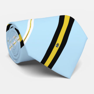 Pittsburgh (Pennsylvania) flag-coat arms Neck Tie