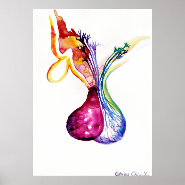 Pituitary structure poster (Front)