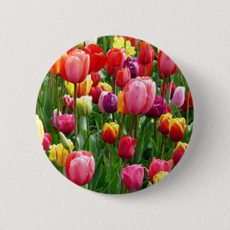 pixabay.comentulips-tulip-bed-colorful-color-52126 pinback button