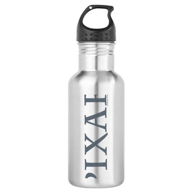 Pixar Gray Logo Stainless Steel Water Bottle (Front)