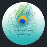 PixDezine peacock plume Classic Round Sticker<br><div class="desc">PixDezines psychedelic peacock feather stickers.  All elements are editable.  

DIY background color,  trim,  fonts,  and fonts' colors.

Copyright © 2008-2016 PixDezines.com™ and PixDezines™ on zazzle.com. All rights reserved.</div>