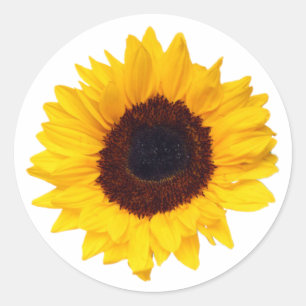PixDezine Yellow Sunflower Envelope Sealer Classic Round Sticker