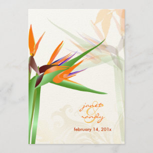 PixDezines BIRD OF PARADISE/DIY Background Color Invitation
